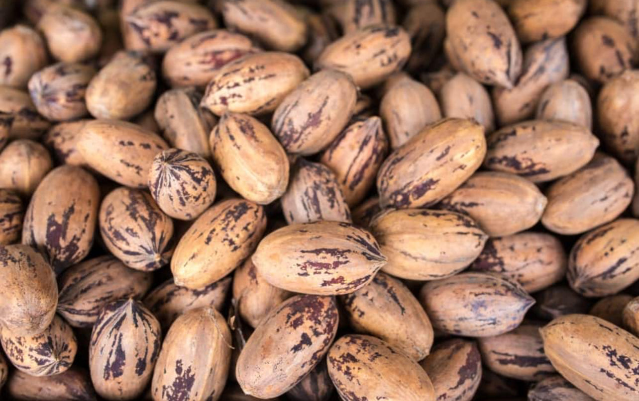 7GT Smoked Salt & Pepper Blend-Pecan (6oz)