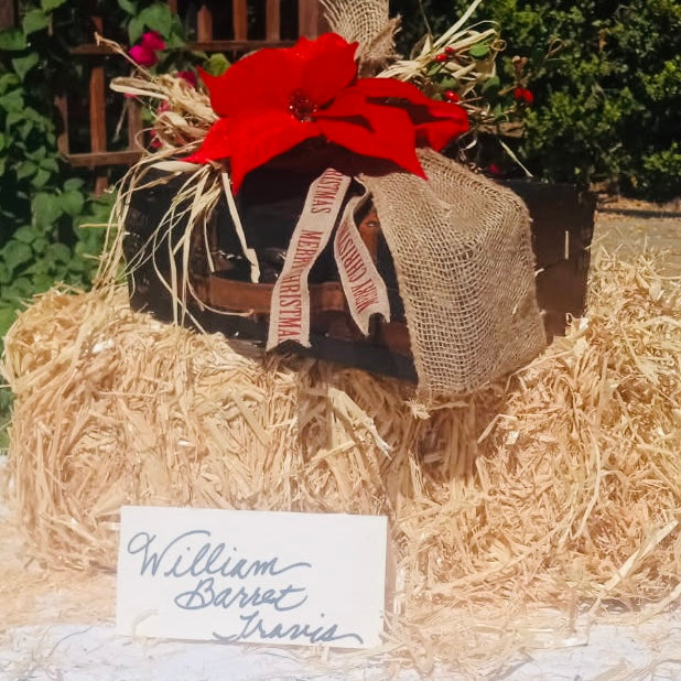 7GT The Willam Barret Travis Special Christmas Gift Trunk *LIMITED EDITION*