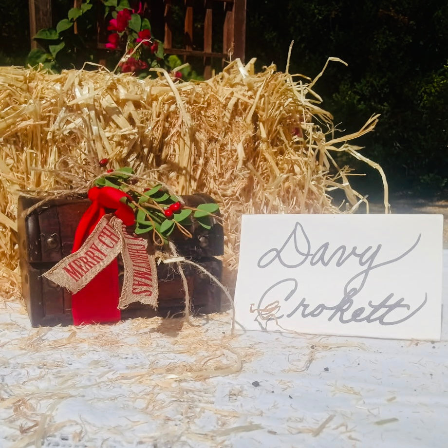 7GT The Davy Crockett Special Christmas Gift Trunk *LIMITED EDITION*