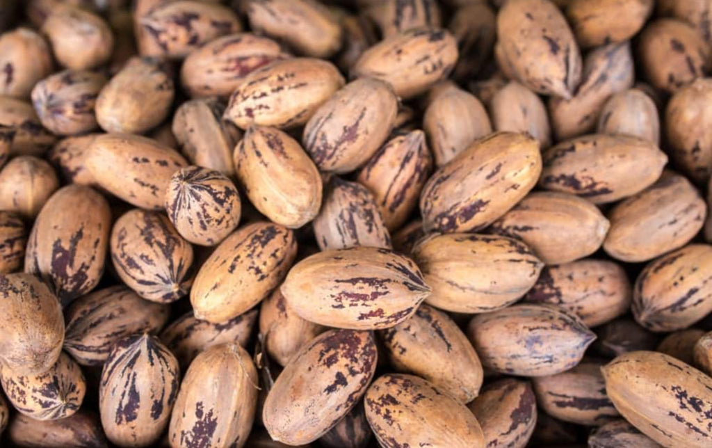 7GT Smoked Salt-Pecan (5oz)