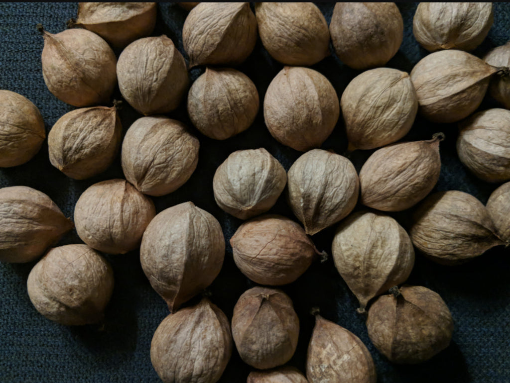 7GT Smoked Salt & Pepper Blend-Hickory (6oz)